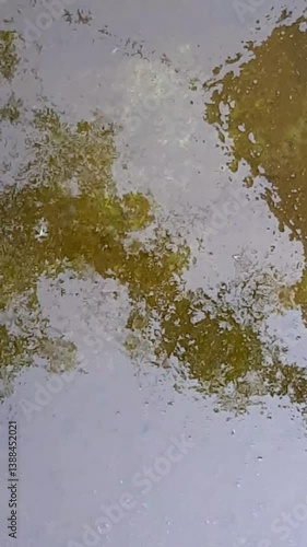 beautiful fountain in the middle of the heart of the city, hermosa fuente en medio del corazón de la ciudad Video 1