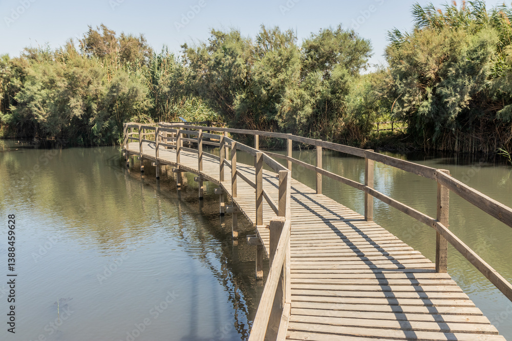 Boardwalk in Azraq Wetlands Reserve, Jordans Boardwalk in Azraq Wetlands Reserve, Jordans