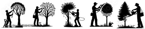 vector set of silhouettes of gardeners pruning trees