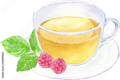 水彩で描いたラズベリーリーフティー