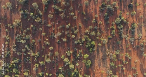Desert outback in Goldfields of Western Australia