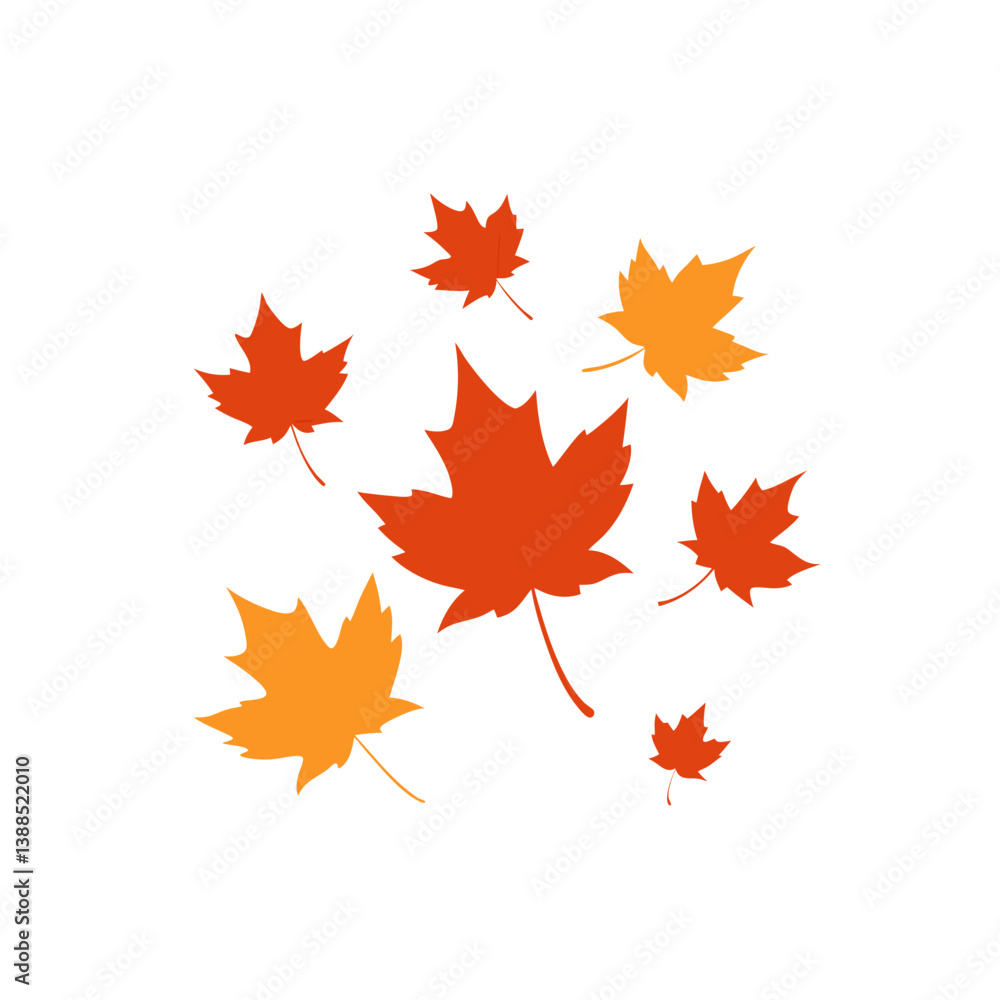 maple leaves isolated on white maple leaves isolated on white