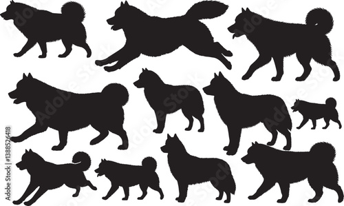 Alaskan Malamute Silhouette – Minimal Vector Illustration on White Background