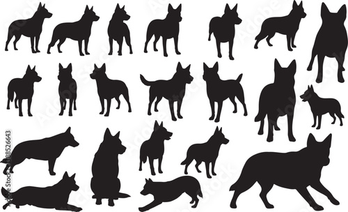 Australian Cattle Dog Silhouettes