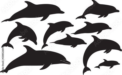 Bottlenose Dolphin
