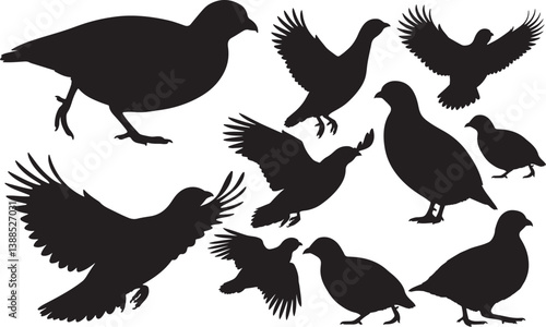 Chukar Silhouette