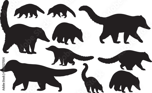 Coati Silhouettes