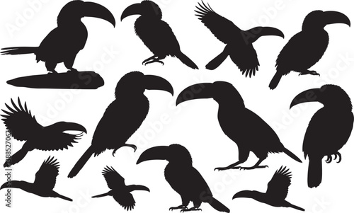 Collared Aracari Silhouette