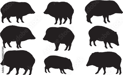 Collared Peccary Silhouettes