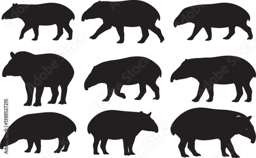 Malayan Tapir Silhouettes