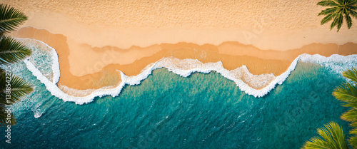 tropical beach overhead