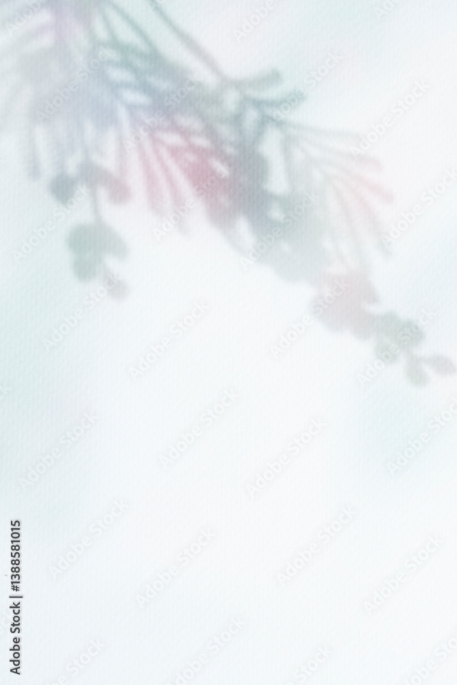 Fototapeta premium 컬러풀한 식물 그림자 배경,표지 이미지