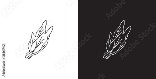 Arugula vegetable line icon. Vegetable vector illustration icon. Collection of icons with editable strokes in transparent and black background.