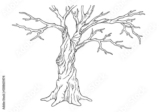 Bare deciduous tree silhouette. Isolated hand drawn outline old leafless tree. Single natural object on white from Spring collection for winter, spring or fall season background or scenery creating