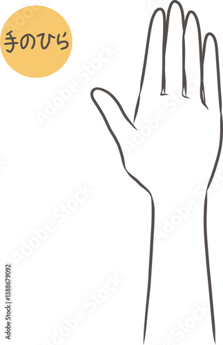 女性の手のひらのパーツイラスト