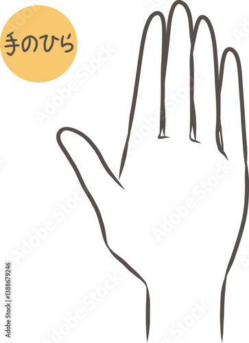 女性の手のひらのパーツイラスト