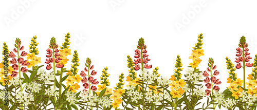 great mullein, red lupin and marsh Labrador tea, field flowers, vector drawing wild plants at white background, floral elements, hand drawn botanical illustration