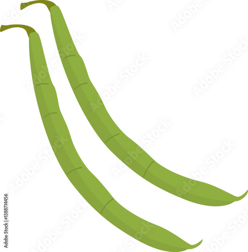 Illustration of Green Beans