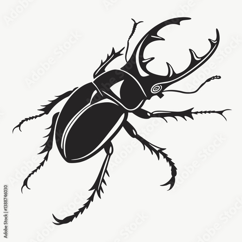 black and white beetle