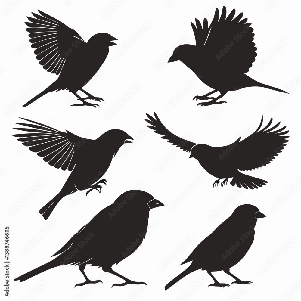Obraz premium set of birds