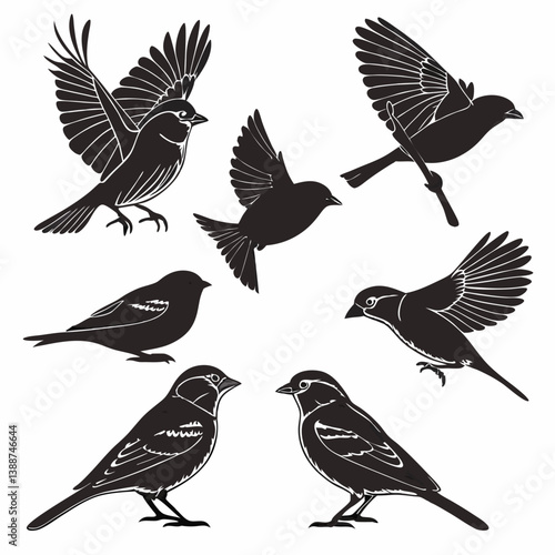 set of birds