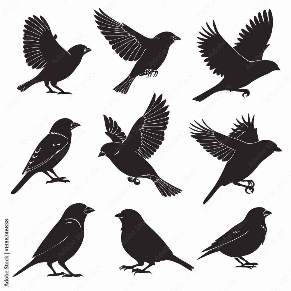 Obraz premium set of birds