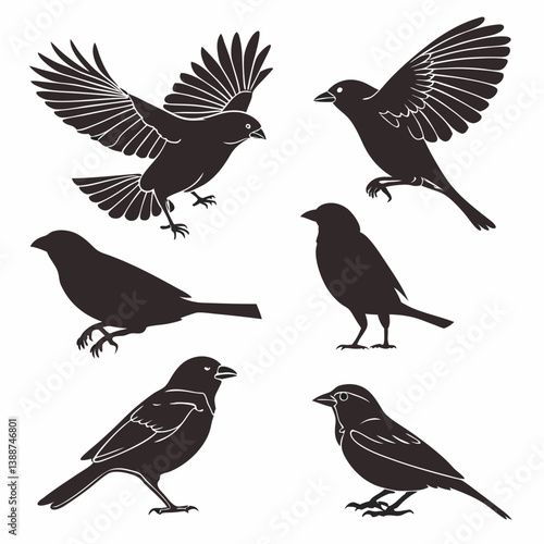set of birds