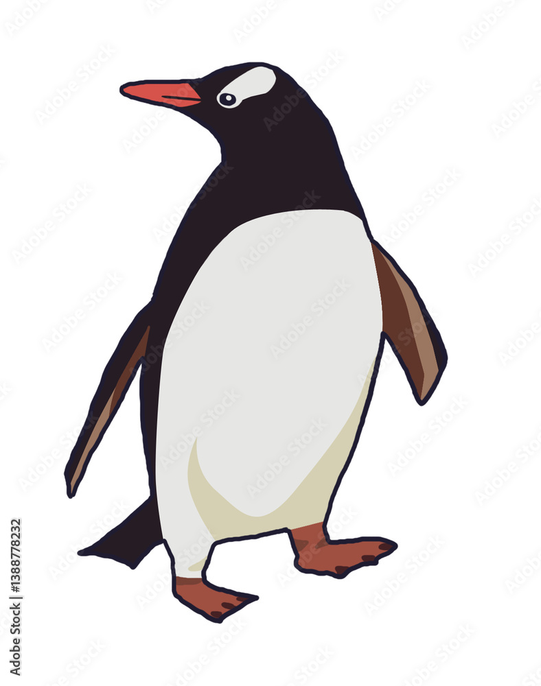 penguin on a white background penguin on a white background