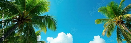 Lush green palm canopy against vibrant Nassau blue sky, sea, flora, Bahamas
