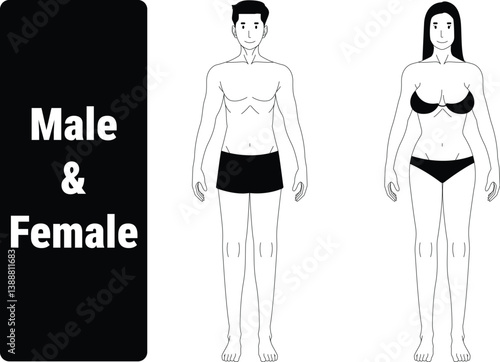 male and female character with underwear on transparent background, vector design