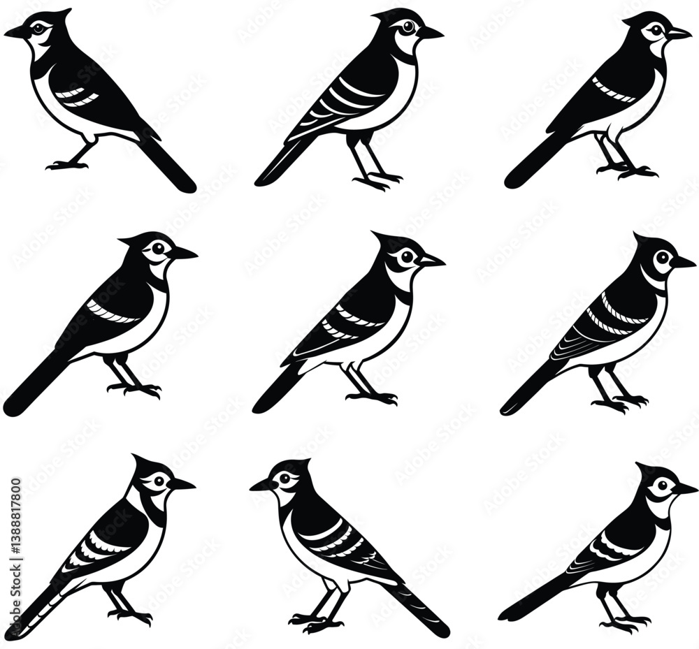 Fototapeta premium vrctor vluy jay bird