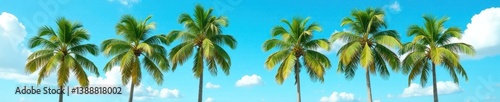 Wallpaper Mural Majestic palms line a clear azure sky, leaves gently swaying, graphic, peaceful Torontodigital.ca