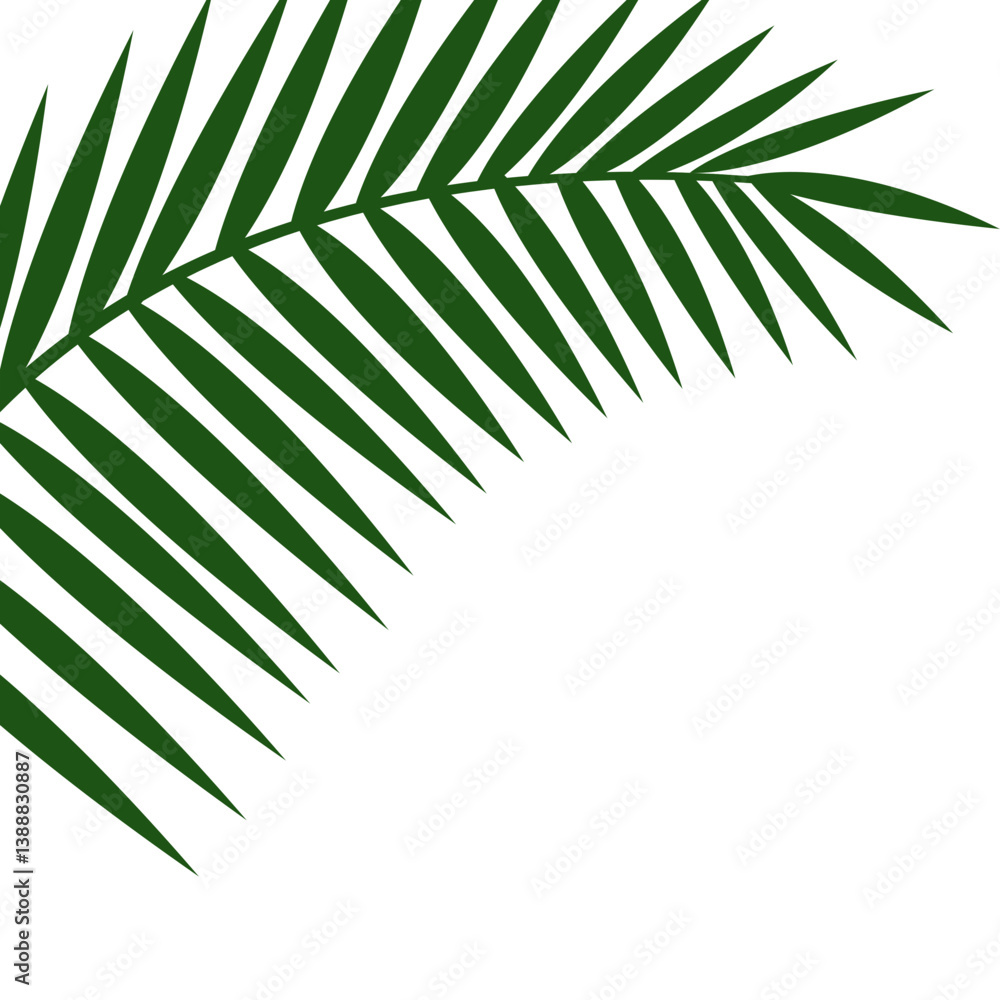 Fototapeta premium Palm Leave Corner