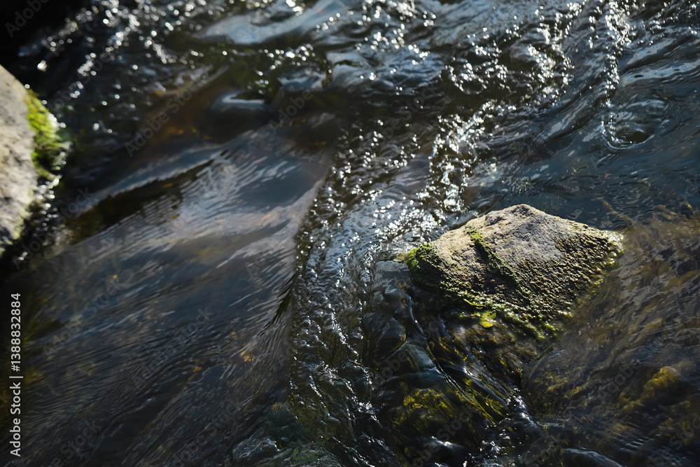 Serene Stream with Flowing Water over Rocks and Moss on a Sunny Day in Nature Serene Stream with Flowing Water over Rocks and Moss on a Sunny Day in Nature