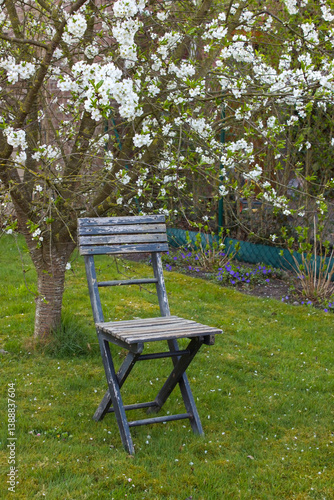 Obraz na płótnie old chair in the garden - spiringtime w salonie