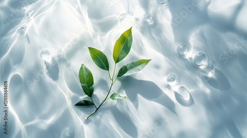 Ethereal light with water ripple, crystal clear bubbles, and green leaves