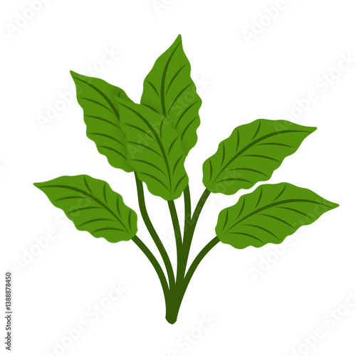 Illustration of green leaves 