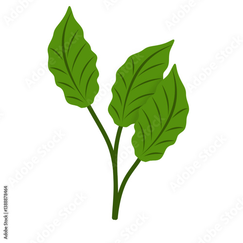 Illustration of green leaves 