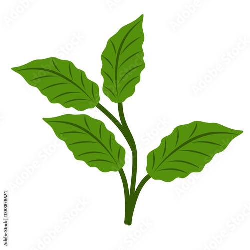 Illustration of green leaves 