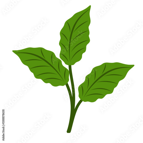 Illustration of green leaves 