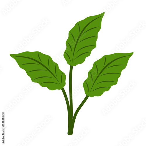 Illustration of green leaves 