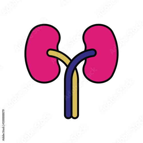 Kidneys icon isolated on a white background. Vector illustration.