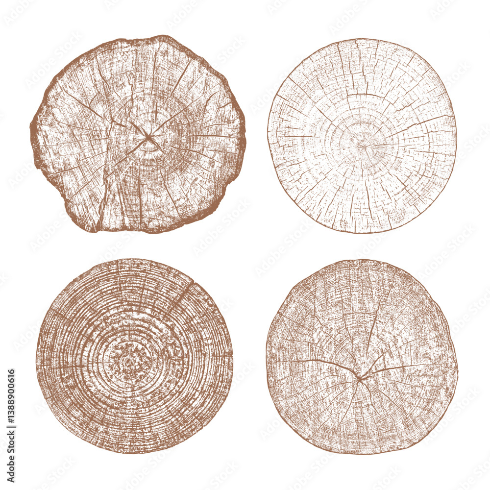Tree wood texture. Wooden old trunk. Cut timber log. Abstract rings nature pattern. Brown circle stump. Wood cross section. Set vector.