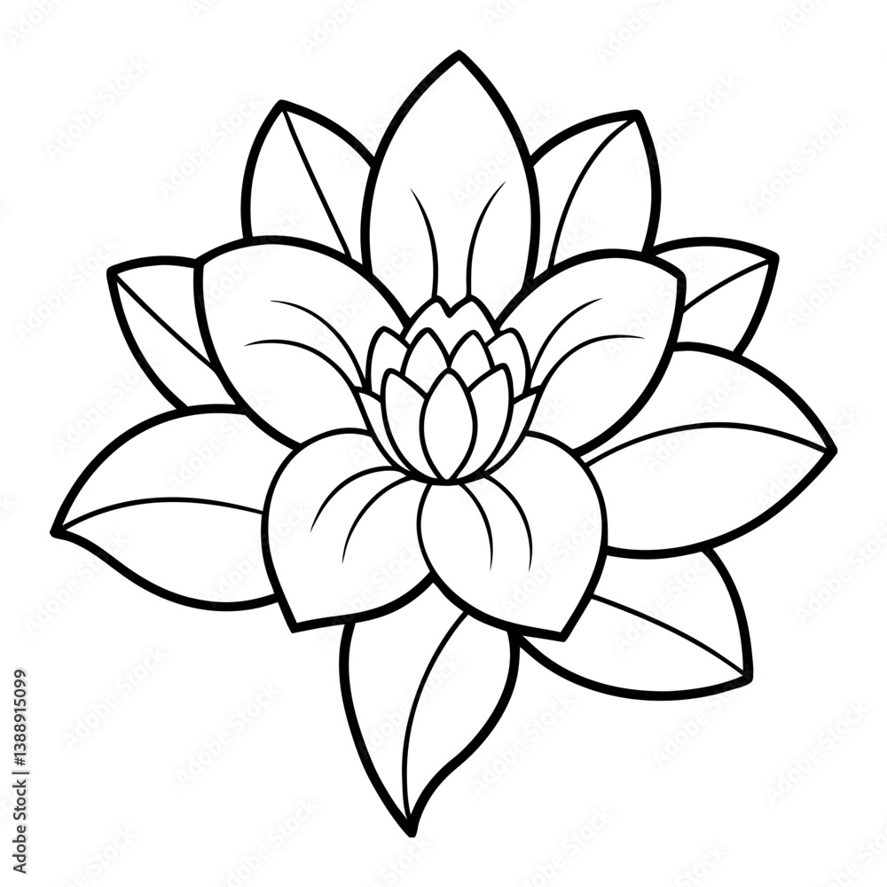 
Daffodil Flower Line Art Vector Illustration Outline