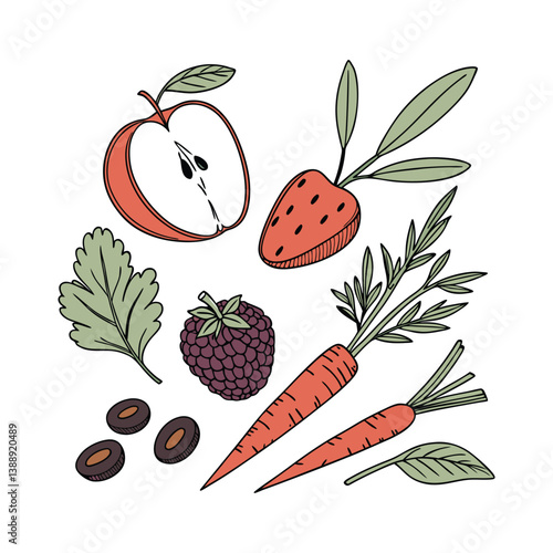 Amora, framboesa. Frutas, verduras, alimentos, temperos, comida. Isolados em fundo branco. 