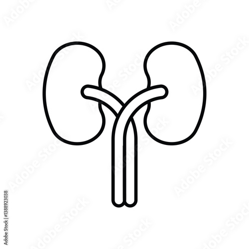 Kidneys icon isolated on a white background. Vector illustration.