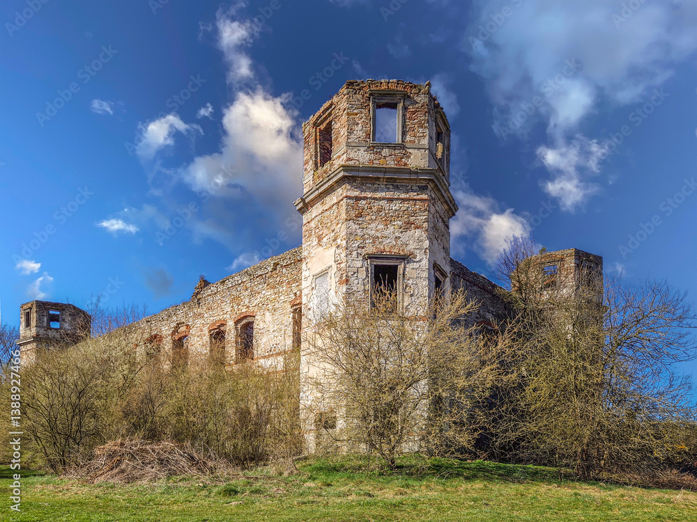Ruins of Tarlow Palace in Podzamcze Piekoszowskie, Poland.