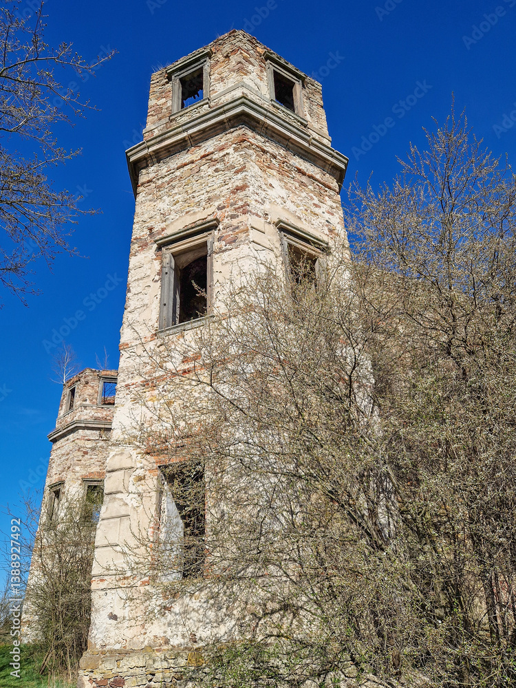 Ruins of Tarlow Palace in Podzamcze Piekoszowskie, Poland.