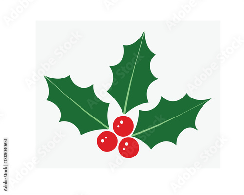 Red holly berries and green leaf sprig, a winter xmas decoration.