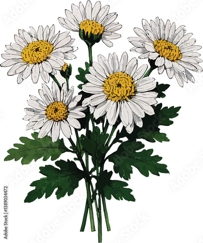 A beautiful spring bouquet of white and yellow daisy flowers showcases nature's floral beauty